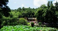 長沙出發(fā)到花明樓、韶山、張家界國家森林公園、天門仙山國家森林公園四日游